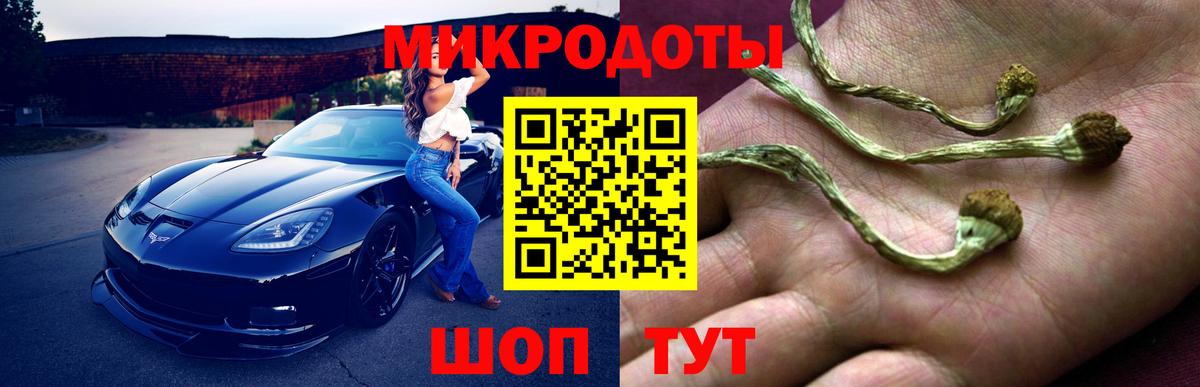 Джанкой  Псилоцибиновые грибы мухоморы  Вход с VPN 